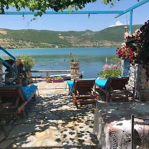 Rosa B&B Lini